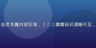 www.91n.com会员专属内容区域，VIP徽章标识清晰可见，高品质独家内容集中展示
